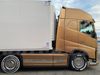 Seitenleistenverkleidung für LKW VOLVO FH4 und FH5 Bild1
